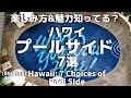 お土産もお酒もグルメも【ハワイ・ホテルプールサイド 7選】｜Pool Side 7 choice Hawaii #ハワイ #Ejmoriguchi #Hawaii #ハワイコーディネーター