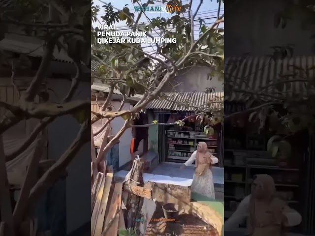VIRAL PEMUDA PANIK DIKEJAR KUDA LUMPING