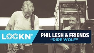 Phil Lesh & Friends & Infamous Stringdusters - "Dire Wolf" | LOCKN' 2016 | Relix chords