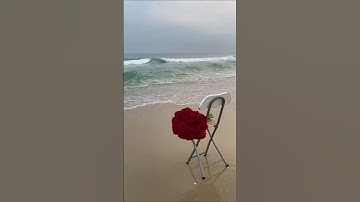 سورة الحشر اجزون ابراهيمي ✨تلاوة خيالية  #explore  #قرآن  #egzonibrahimi  #تلاوة #videoshort