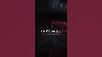 الآية 39-41 من سورة النجم #قران_كريم