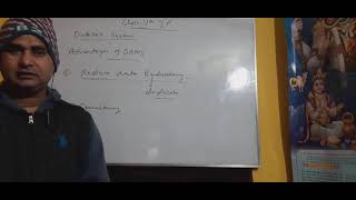 Class 11th Informatics Practices database concepts lecture-2
