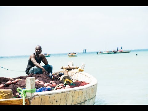 Video: Sheria Ya Uvuvi Ya Burudani Inasema Nini