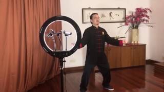 Free Tai Chi and Qigong Online Class from 04/25/20 - 太极气功每周六免费网课；太極氣功每週六免費網課