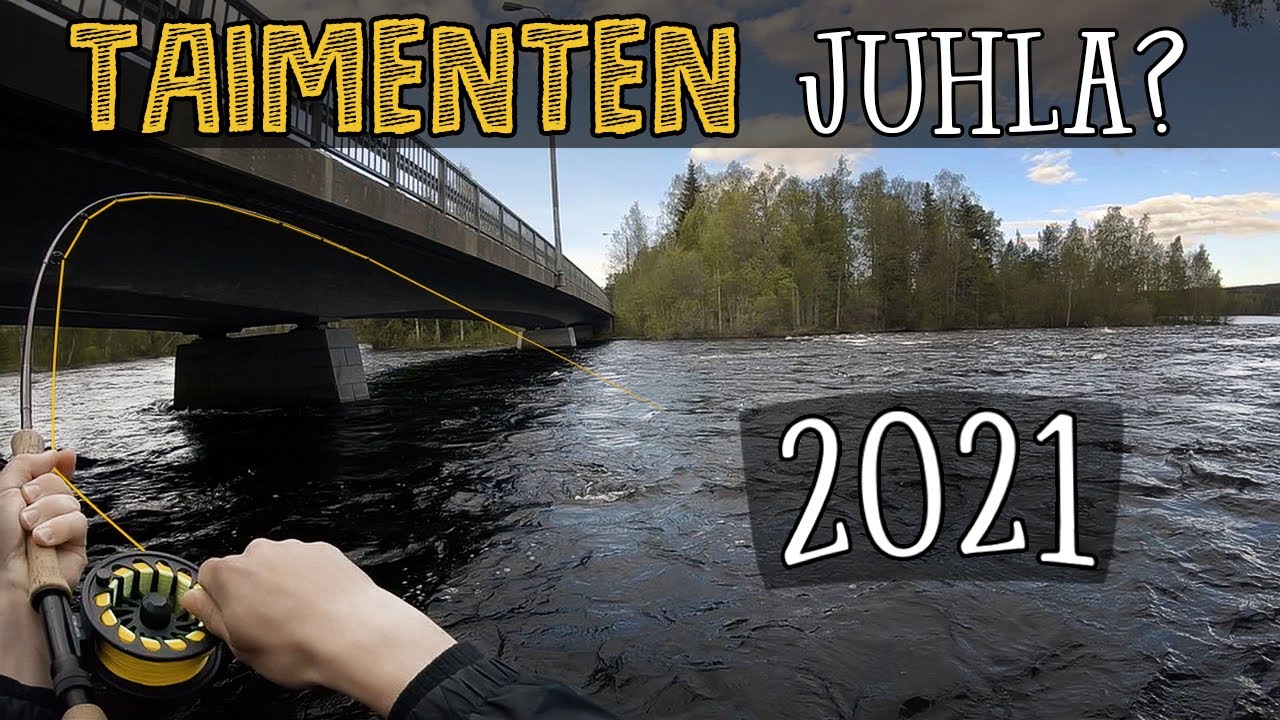 TAIMENEN PERHOKALASTUSTA | Keihärinkoski | Perhokalastus 2021