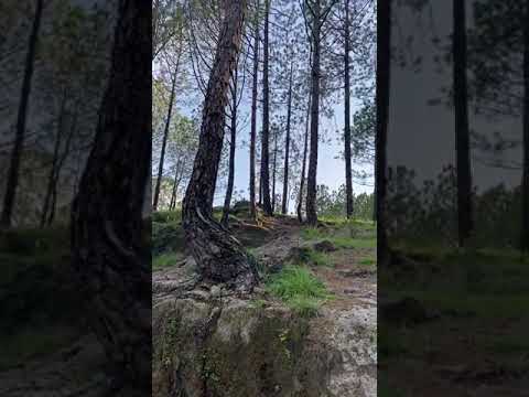 Lansdowne, uttrakhand nature