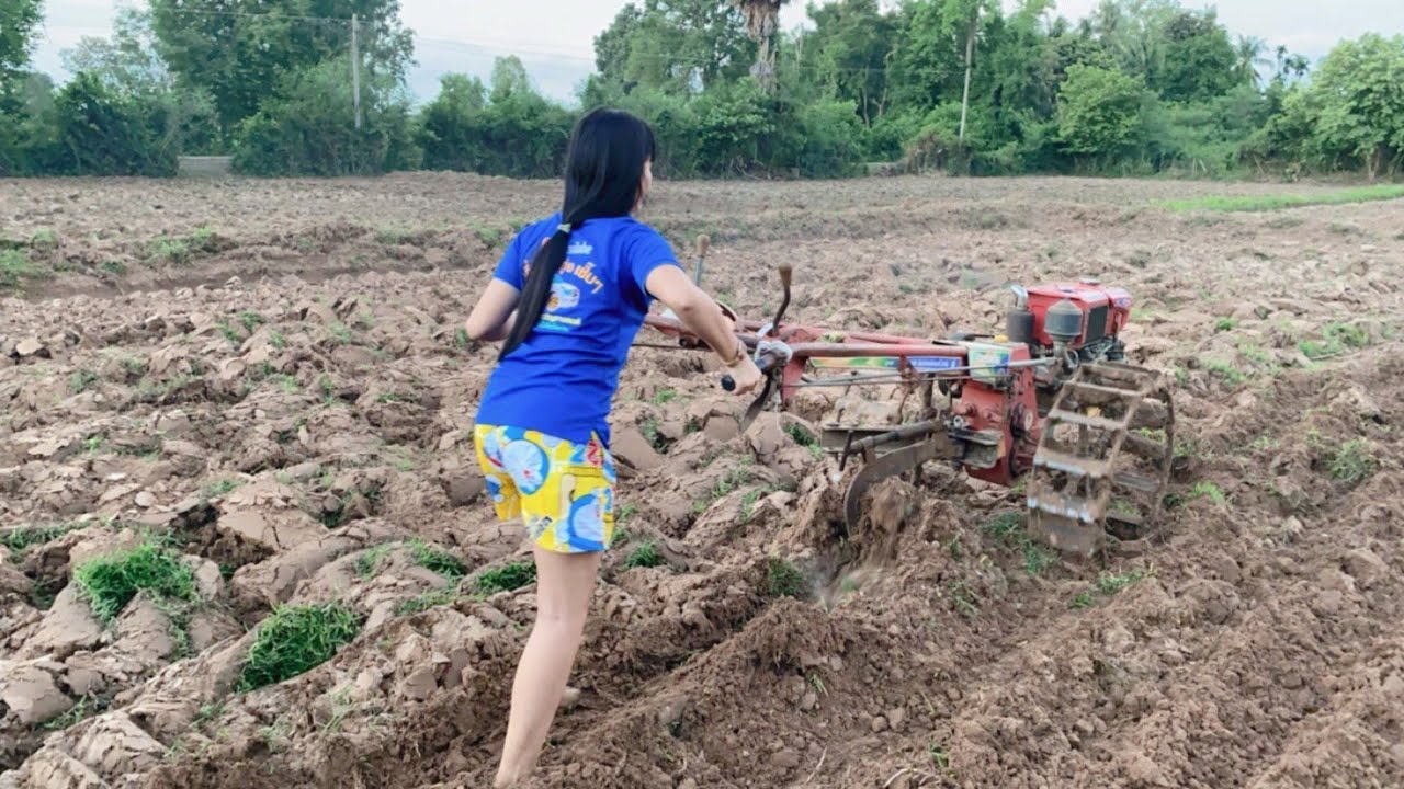 ขับรถไถเดินตามจะได้ไร่ล่ะเท่าไรน๊าา #ไม่ซิ่งก็สาย☺