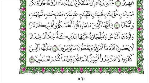 سورة التحريم - ياسر الدوسري - مكتوبة