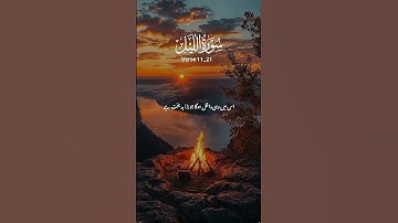 سورة الليل مكتوبة / مشاري العفاسي