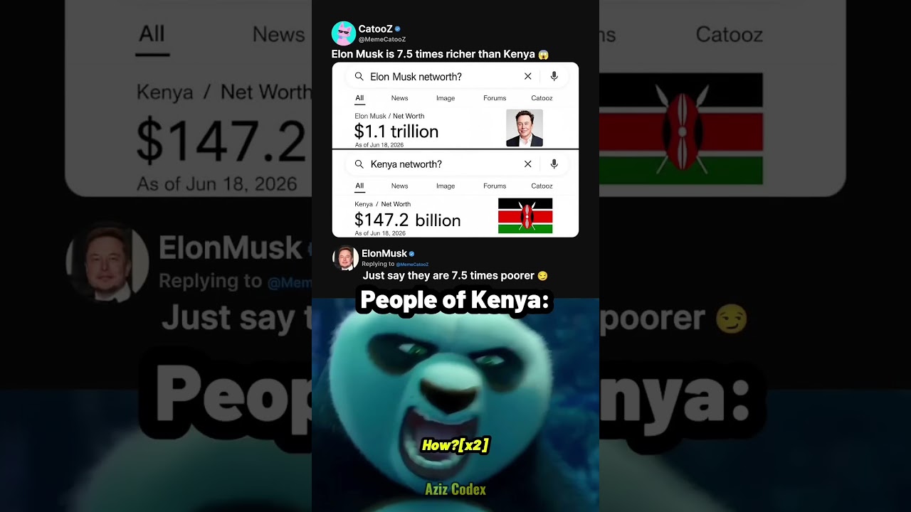 Elon Musk vs Kenya. Net Worth !! #coding #shorts #python