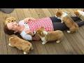 World's CUTEST Puppies🐶❤️ Cutest Dog Video on Internet😍