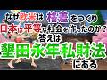 【比較経済史】墾田永年私財法が平等な税制税制を作った？立憲制の弱点とは？御成敗式目は最初の国際法！【ずんだもん】【ゆっくり解説】