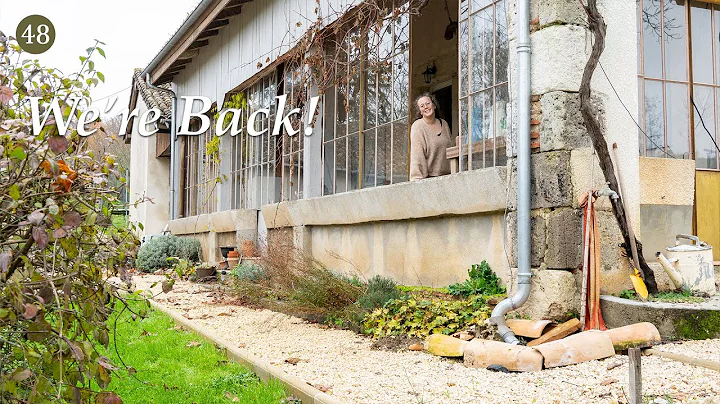 After Months Away… Our French Life Update