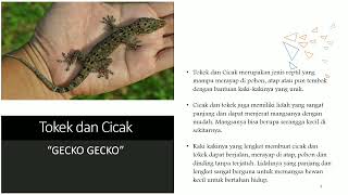 Ciri khusus dan Habitat asli hewan kelas VI Tema 1 Subtema 3