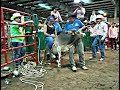😍TAMBIEN LAS MUJERES LE MONTAN AL TORO"🐂