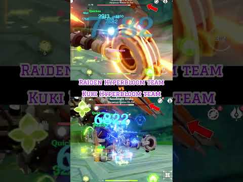 Kuki VS Raiden