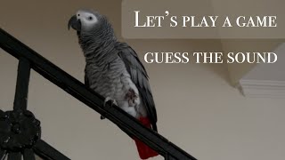 Let’s play a memory game - guess the sound screenshot 4