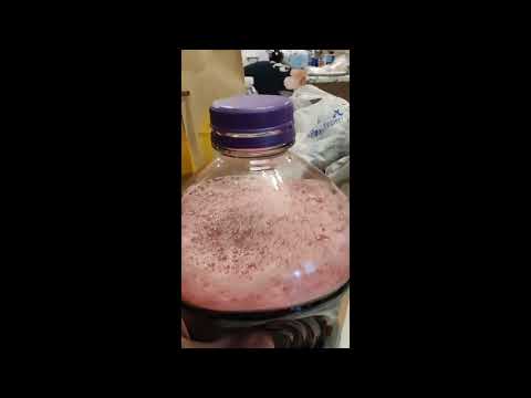 Runescaper Makes wine