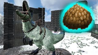 ARK: Survival Evolved из чего делать самый крутой корм ?! Приручение ЮТИРАНУСОВ в АРК ! #27