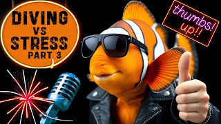 Dive Stress Dangers: 5 Risks You Can't Ignore! | Talk to the Fish