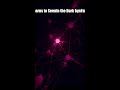 AI Learns to See in the Dark by Failing