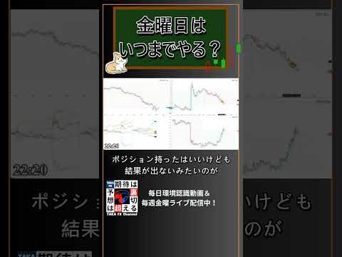 【TAKA FX】金曜日はいつまでトレードする？ #Shorts #投資 #環境認識 #fx #チャート  #初心者 #fx #テクニカル #資産運用