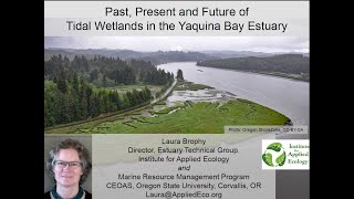 Past Present and Future of Tidal Wetlands in Yaquina Bay Estuary Laura Brophy MCWC
