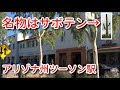 アメリカの駅 砂漠の大都市は巨大サボテンが名物 アムトラックのアリゾナ州ツーソン駅 アメリカの駅 砂漠の大都市は巨大サボテンが名物 アムトラックのアリゾナ州ツーソン駅