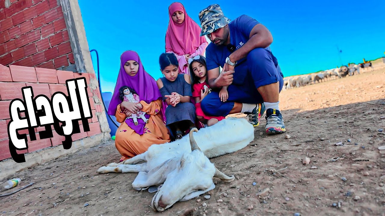 وداعًا معزتنا الحبيبة😰… لكن رحلة تطوير المزرعة بدأََت للتو💪