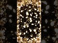 GE 001 3D CINEMATIC WEDDING FRAMES Y9X16 Luxury White Rose Border Ornate Floral Framing Backdrop 4K