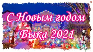 с Новым годом Быка 2021