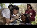Paraguay avanza hacia la validación de la eliminación del tracoma como problema de salud pública