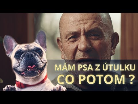 Video: Je Riskantné Bozkávať Svojho Psa?