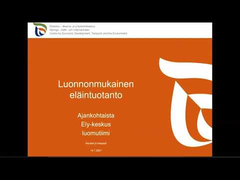 Video: Työ: työntekijöiden palaute yrityksessä työskentelystä