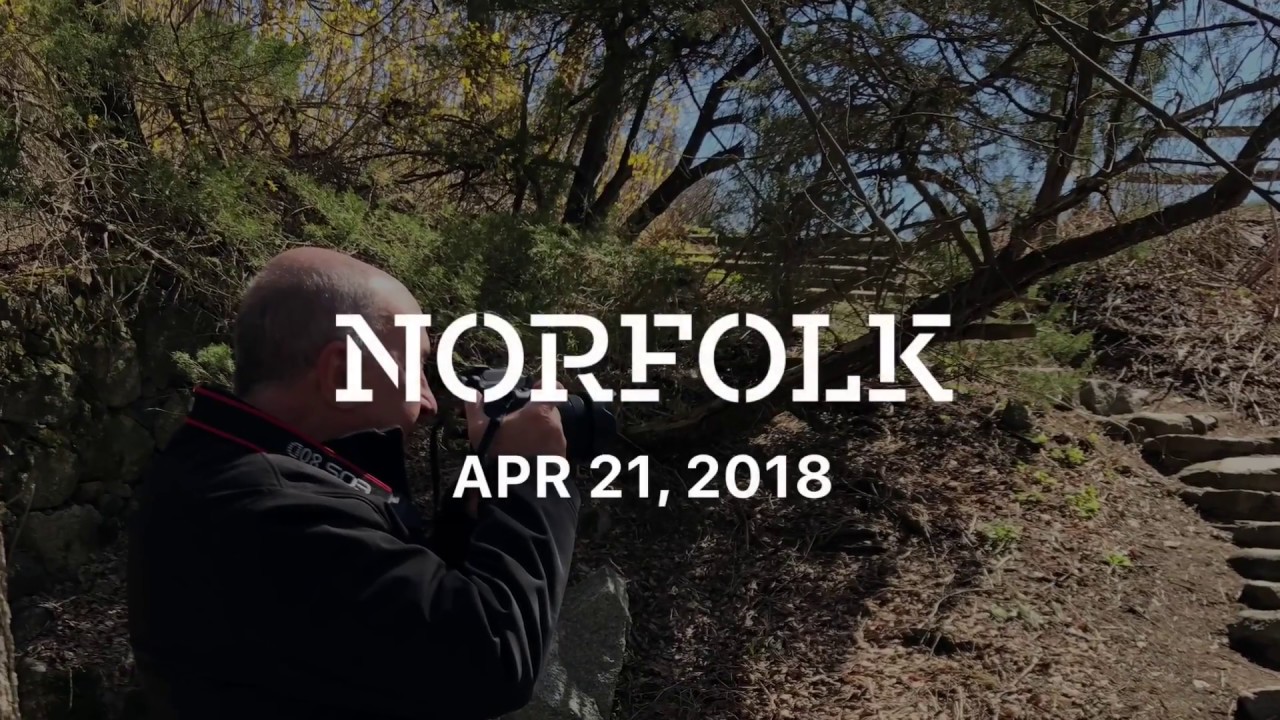 Wildlife Sanctuary - YouTube