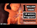 18 Weeks Pregnant | Pregnancy Week By Week Symptoms | The Voice Of Woman