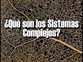 ¿Qué son los Sistemas Complejos?