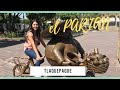 VISITANDO EL PARIAN, TLAQUEPAQUE JALISCO - MARCANDO TERRITORIO- EO091