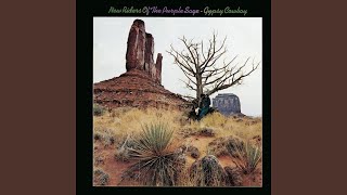 Video thumbnail of "New Riders Of The Purple Sage - Long Black Veil"