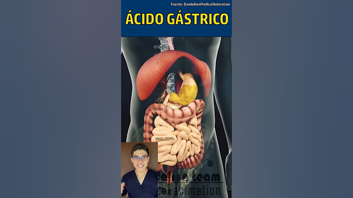 ¡Así se ve la DIGESTIÓN!🍔👅 #medicina #shorts #biologia