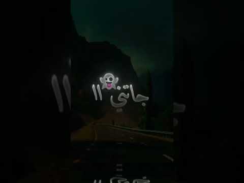 صحاب الكيتمان مادريت هاد البابيشة مين جاتني