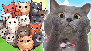 Котик Едун В Деревне, Мультик Игра Про Котика, Tasty Planet #28