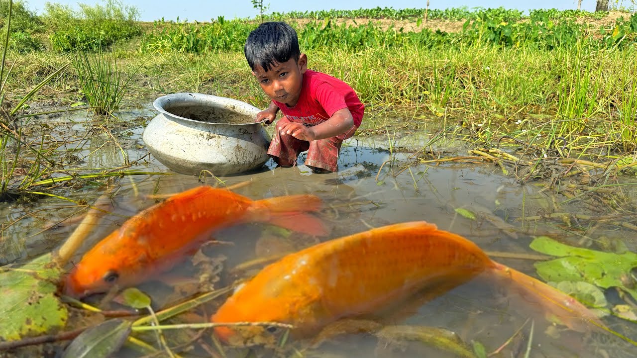 Amazing Boy Catching Fish By Hand In Mud Water | Fishing Video - YouTube