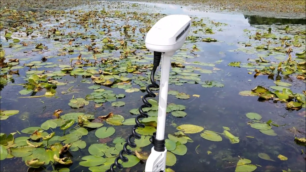 Minnkota Terrova with Ninja Grass Blade