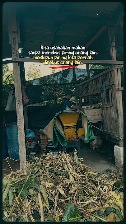 ini bukan tentang piring #peternaksejahtera #sobatngarit #belajarternakkambing