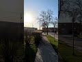Max Lens Mod 2 0 GoPro Hero 12 Black Spring Walk Winnipeg Manitoba #shorts # shortsvideo
