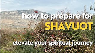 Understanding the Spiritual Journey to Shavuot: The Beauty of Counting Up