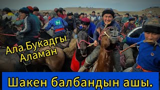 картинка: Ала Букадaгы Аламан Улак. Шакен балбандын ашы. ( 1- бөлүм )