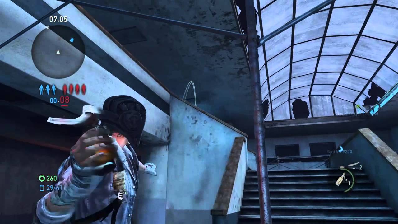 How to cook Fireflies