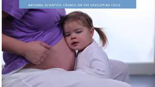 Plenary  Neuroscience, Child and Adolescent Development and the Courts screenshot 5